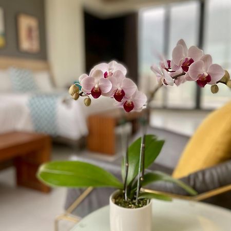 Follow The Cloud B&B Jialin Room photo